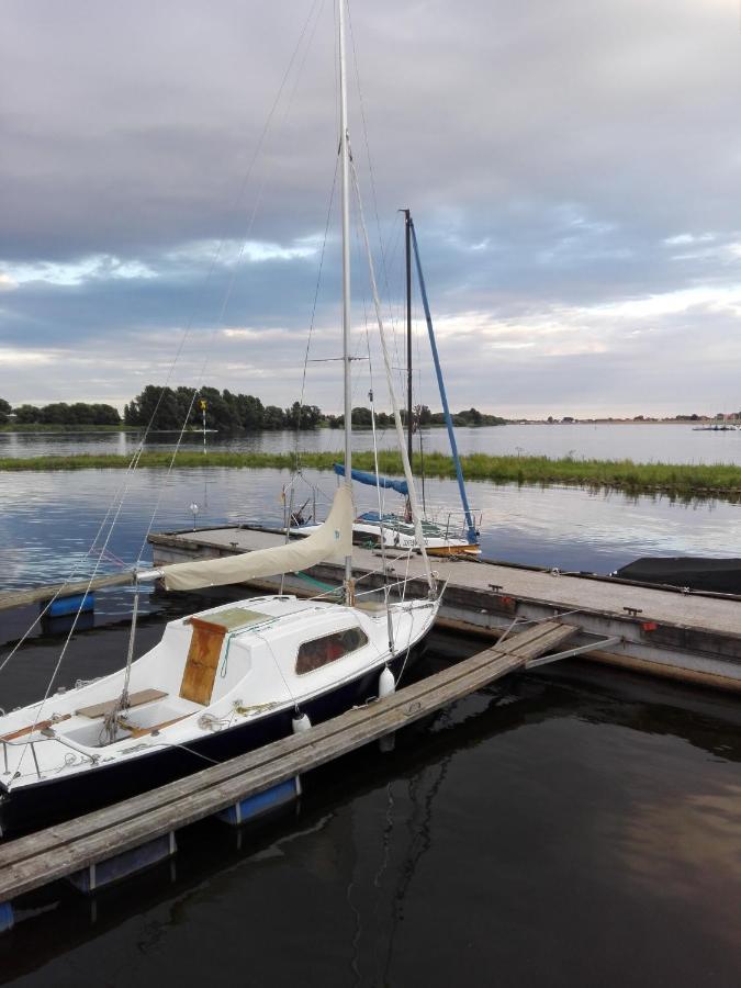 Ferienwohnung Elbe Diek Stelle Bagian luar foto