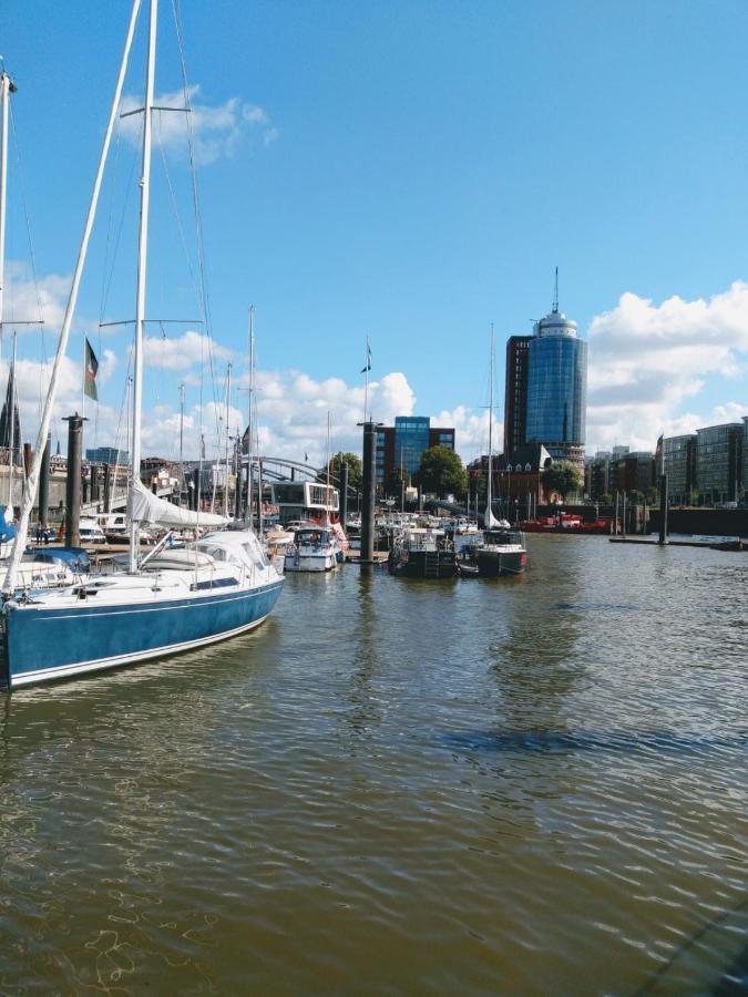 Ferienwohnung Elbe Diek Stelle Bagian luar foto