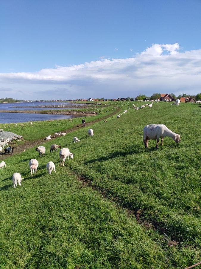 Ferienwohnung Elbe Diek Stelle Bagian luar foto